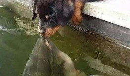 白菜狗最新爆料,娱乐圈最新爆料大起底！