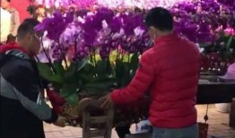 海丰爆料最新情况今天,最新进展揭秘，事件真相逐渐浮出水面