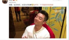 明星大爆料郑凯视频播放,明星背后的真实生活