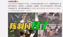 沈阳老舅爆料视频曝光事件,揭秘事件背后真相