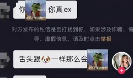 网红被爆料私密视频大全,真相与反思