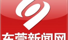 东莞新闻网爆料电话,揭秘热线电话背后的故事