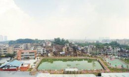 东莞茶山镇爆料新闻视频,视频揭秘真相