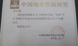 商丘最新爆料新闻报道,揭秘背后惊人真相！