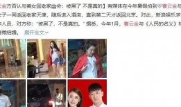 刘师门骗局爆料视频播放,视频曝光背后的惊人真相