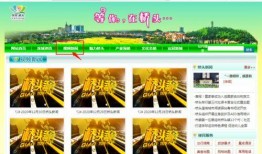 东莞桥头新闻爆料,突发事件引发关注，详情即将揭晓