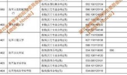 山东投档最新消息爆料,揭秘录取动态与热门专业竞争态势
