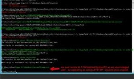 漏洞在线观看,在线观看，共筑网络安全防线