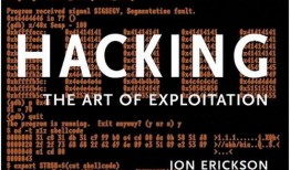 漏洞在线观看,在线观看，共筑网络安全防线