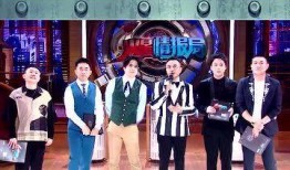 网爆婚礼爆料视频大全最新,揭秘明星婚宴幕后精彩瞬间