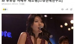 南韩娱乐圈爆料大全,爆料大全深度解析