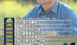 浙大博士爆料新闻,揭秘学术圈潜规则与黑暗面