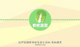 有机在线视频在线观看,在线视频带你领略有机世界