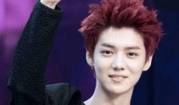 爆料鹿晗婚礼视频合集