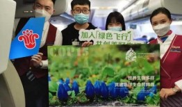 南航学生爆料新闻视频下载