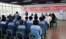 甘肃监狱爆料案件最新进展,真相逐步浮出水面