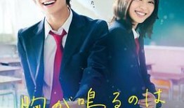 在线观看青,网络时代下的青春演绎