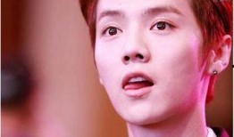 卓伟爆料的鹿晗是谁啊视频,揭秘鹿晗身份之谜