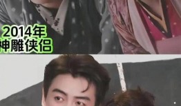 爆料陈晓出轨视频,真相与争议