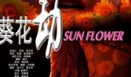 葵花电影网在线观看,畅享在线观影新体验