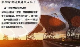 爆料视频完整版第二期