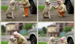 人兽交在线观看,揭秘人兽交背后的黑暗世界