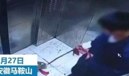 小男孩内鬼爆料视频播放,小男孩爆料视频背后的惊人真相