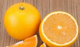 廉江今日爆料新闻视频,视频揭露惊人事件，详情敬请关注