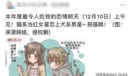 魏大勋女友爆料视频播放,揭秘明星恋情背后的真相