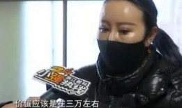 富婆爆料男友视频大全集,一场豪门恩怨的揭秘