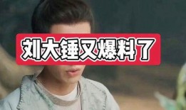 刘大锤最新爆料盘点,盘点娱乐圈最新热点事件