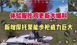 吃鸡队员最新爆料,揭秘战队内部风云与战术布局