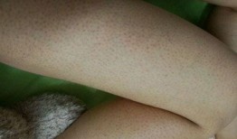 吃鸡皮肤游戏爆料大全最新,盘点最新热门角色与特效