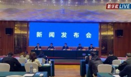 临颍新闻爆料事件最新情况,真相逐步浮出水面