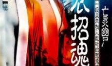 血衣招魂在线观看,惊悚悬疑，揭秘生死轮回之谜