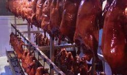 黄巷烤鸭店爆料视频播放,独家爆料视频带你领略正宗烤鸭魅力