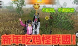 春节吃鸡爆料视频下载安装,揭秘热门视频安装教程