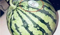 潍坊吃瓜网红,带你领略当地美食风情