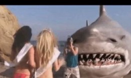 食人海滩在线观看,惊悚求生之旅，在线惊悚巨制揭秘