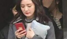 狗仔爆料范冰冰视频大全,范冰冰私密视频大曝光