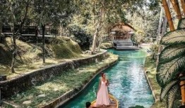 巴厘岛酒店命案爆料视频,真相与疑云交织