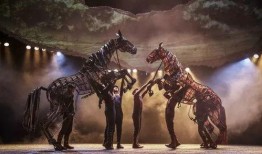 爆料战马教练回归视频下载,战马教练回归震撼来袭！独家视频下载解析