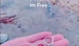 宝宝爆料抖音视频素材库,抖音视频素材库揭秘，趣味瞬间尽收眼底