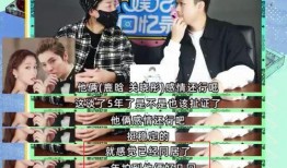 越南狗仔爆料视频大全,揭秘娱乐圈幕后真相