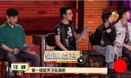 傻白乐队爆料视频全集,揭秘音乐幕后故事与真实情感