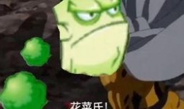 植物卡包最新爆料,奇花异草，生态宝库大揭秘