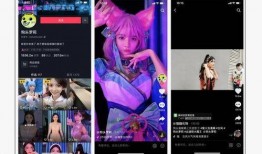 网红被爆料私密视频大全,真相与反思