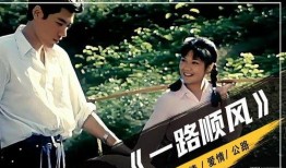 电影一路顺风在线观看,揭秘惊险旅程背后的温情与正义