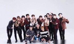 飞机直播爆料人致歉视频,揭秘飞机直播事件始末