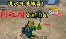 和平精英最新爆料在哪看,揭秘最新游戏内容，精彩玩法抢先看！